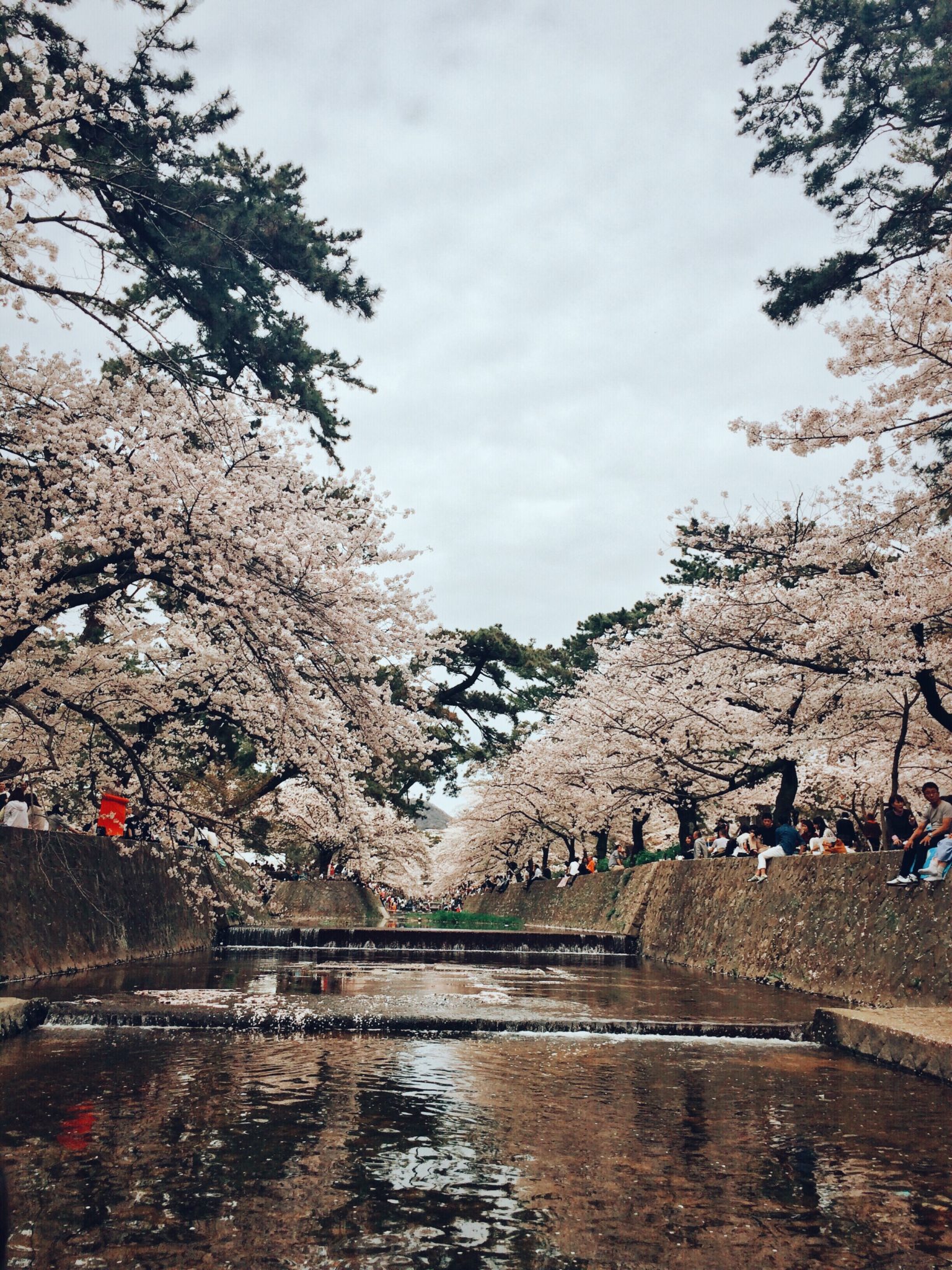 Processed with VSCOcam with a6 preset