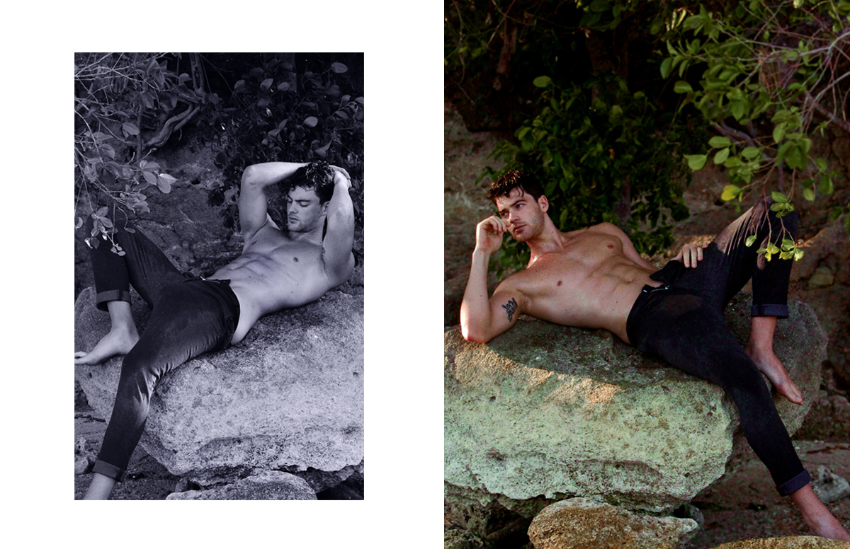 COAST SERIES FEATURING DANIEL RICHTER