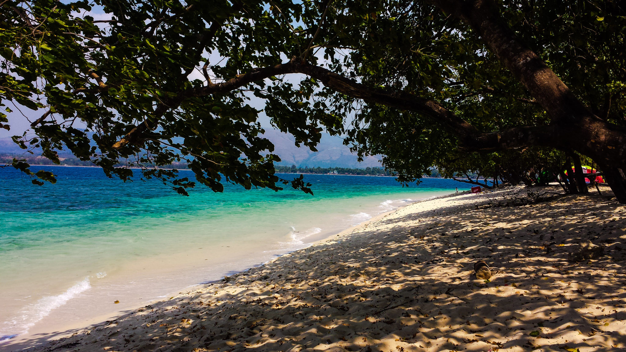 Potipot_20160407_093500