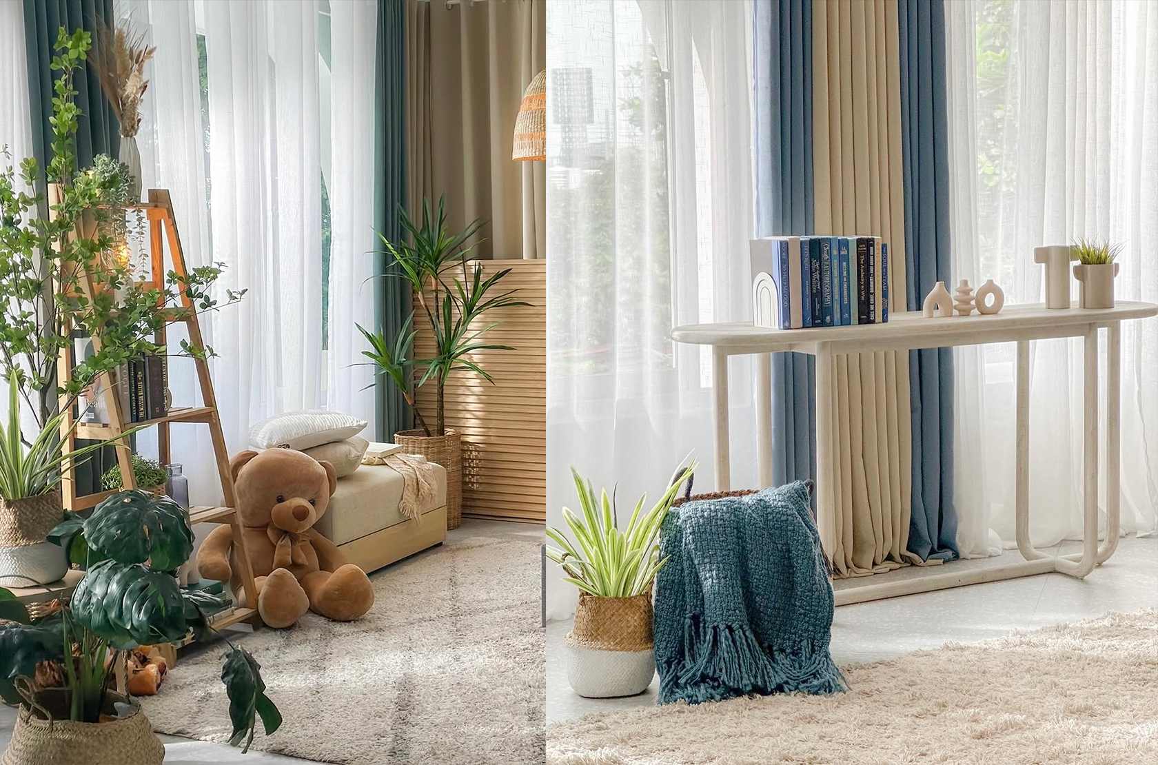 Photo courtesy of Plants and Display