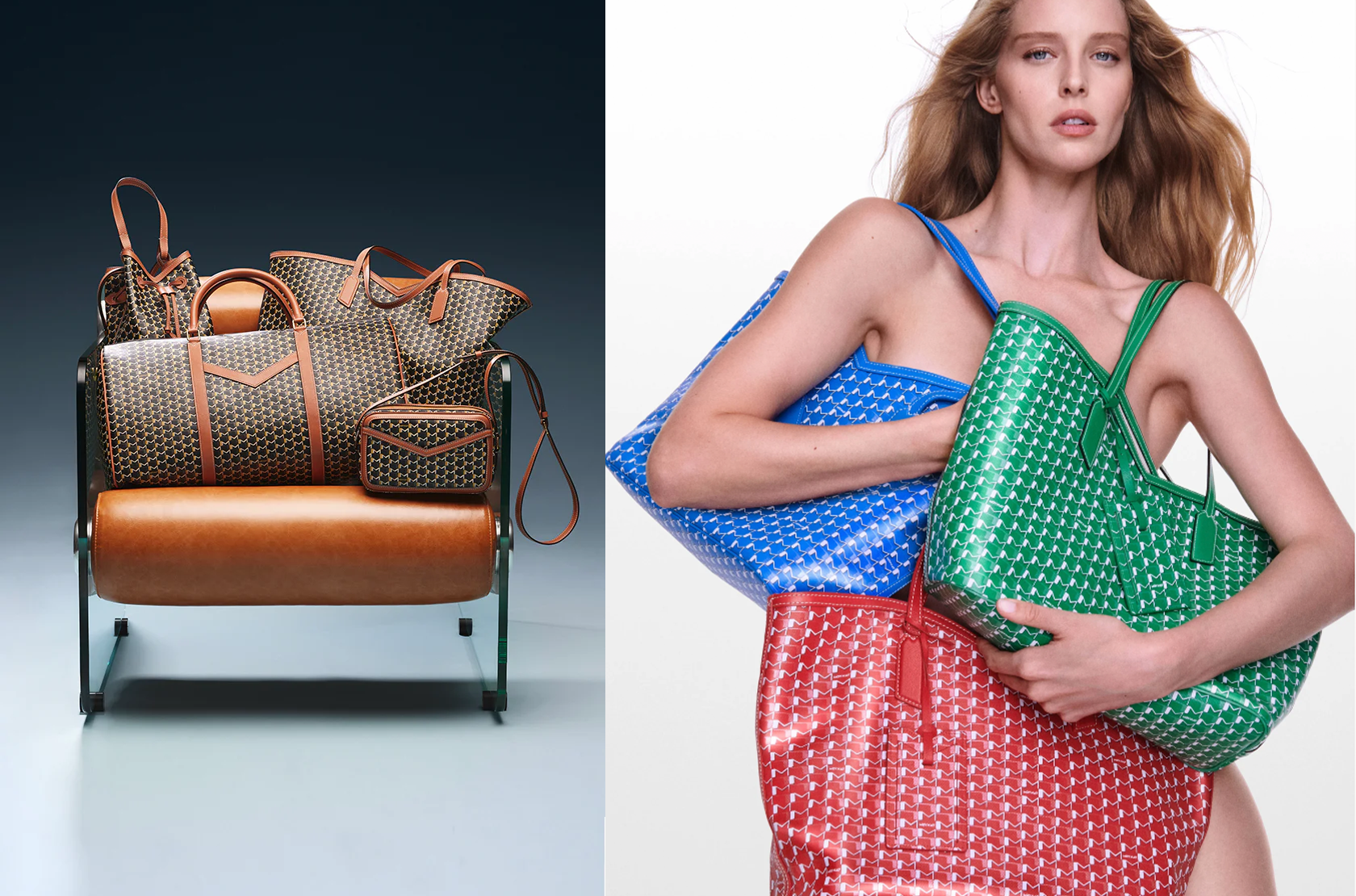 Photo| Moynat